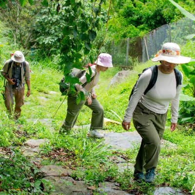 02-Caminando-Hacia-El-OCaso