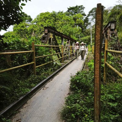 03-Puente-Colorado-Nayan-Castillo-2025