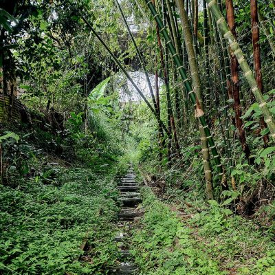 04-Puente-Paso-Antigua-Carretera-Bogotá-Daniela-Sabogal-2025