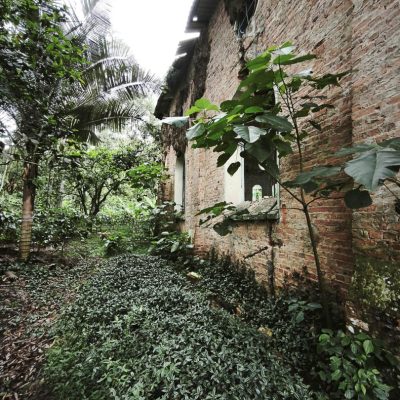 06-Antigua-Iglesia-La-Esperanza-Nayan-Castillo-2025