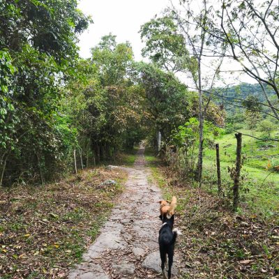 07-Caminando-Hacia-El-Salto-Nayan-Castillo-2025