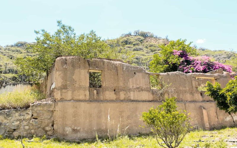 Ruinas estructura Complejo Tabacalero Soatá - Fotografía Nayan Castillo, 2023.