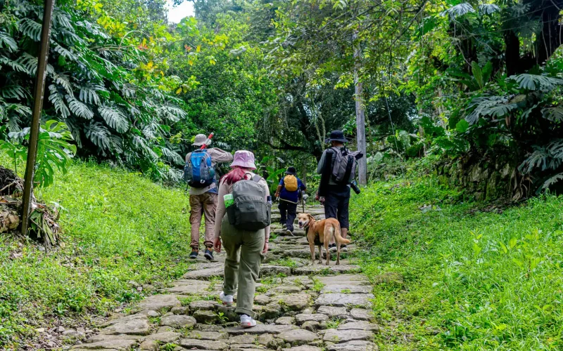 Recorrido Bio-patrimonial: Entre senderos y rieles