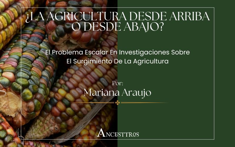 ¿La agricultura desde arriba o desde abajo?: el problema escalar en investigaciones sobre el surgimiento de la agricultura